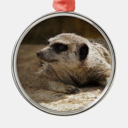 Meerkat Metalen Ornament (Voorkant)