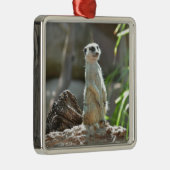 Meerkat Metalen Ornament (Rechts)