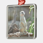 Meerkat Metalen Ornament (Links)