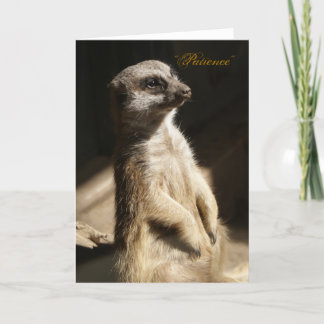 Meerkat mignon la "patience" toute carte de voeux