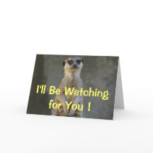 Meerkat Mist je Kaart