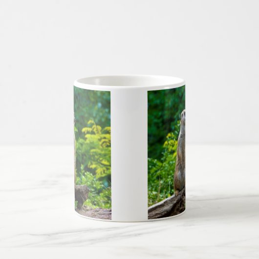 Meerkat Mug (Centre)