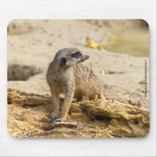 Meerkat Muismat