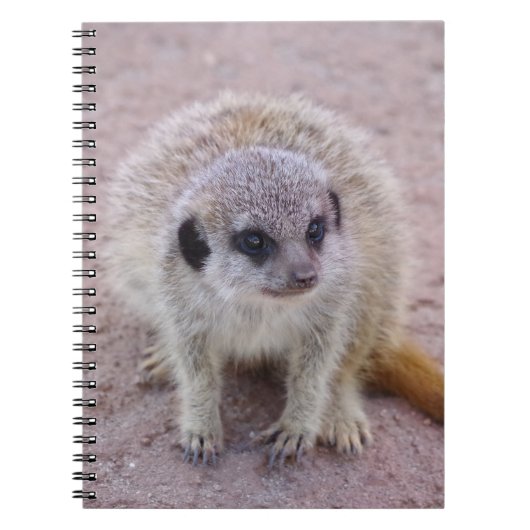 Meerkat Notitieboek (Voorkant)