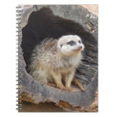 Meerkat Notitieboek (Voorkant)