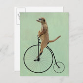 Meerkat op Black Penny Farthing 2 Briefkaart (Voorkant / Achterkant)