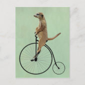 Meerkat op Black Penny Farthing 2 Briefkaart (Voorkant)