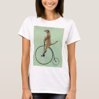Meerkat op Black Penny Farthing 2