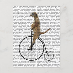 Meerkat op Black Penny Farthing Briefkaart
