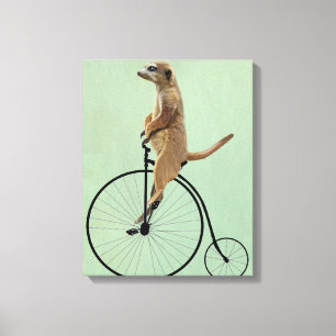 Meerkat op Black Penny Farthing Canvas Afdruk
