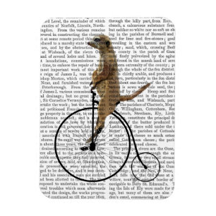Meerkat op Black Penny Farthing Magneet