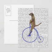 Meerkat op Blue Penny Farthing Briefkaart (Voorkant / Achterkant)