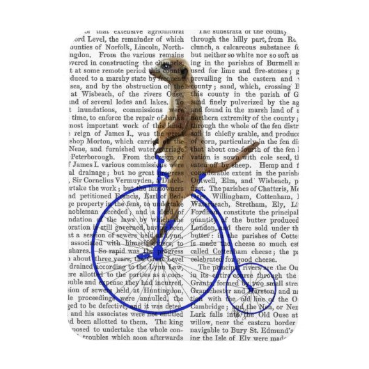 Meerkat op Blue Penny Farthing Magneet (Verticaal)