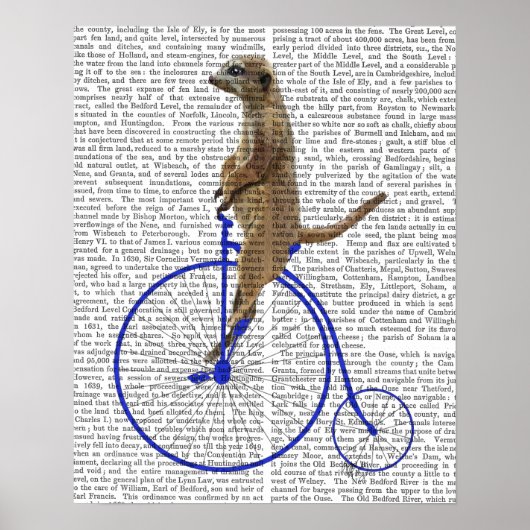 Meerkat op Blue Penny Farthing Poster (Voorkant)