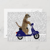 Meerkat op Donkere Blauwe Moped Briefkaart (Voorkant / Achterkant)