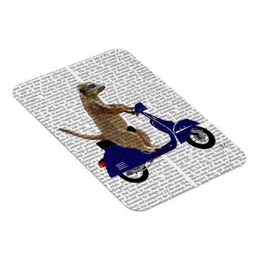 Meerkat op Donkere Blauwe Moped Magneet (Rechterzijde)