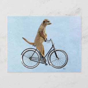 Meerkat op fiets 2 briefkaart