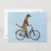 Meerkat op fiets 2 briefkaart (Voorkant / Achterkant)