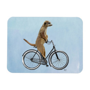 Meerkat op fiets 2 magneet