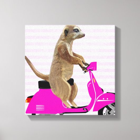 Meerkat op roze brommer canvas afdruk (Voorkant)