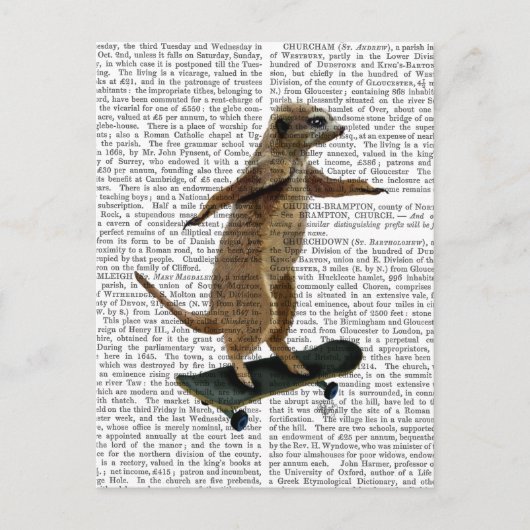 Meerkat op skateboard 2 briefkaart (Voorkant)