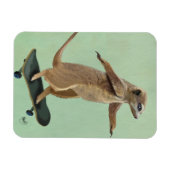 Meerkat op skateboard 3 magneet (Horizontaal)
