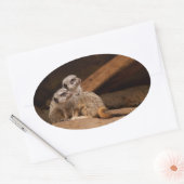Meerkat Ovale Sticker (Envelop)