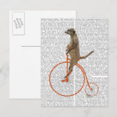Meerkat over Oranje Penny Farthing Briefkaart (Voorkant / Achterkant)