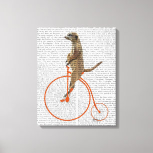 Meerkat over Oranje Penny Farthing Canvas Afdruk