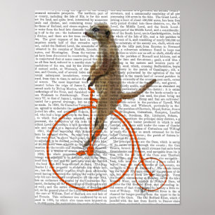 Meerkat over Oranje Penny Farthing Poster