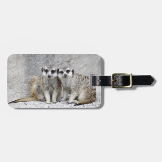 Meerkat pair bagagelabel (Voorkant horizontaal)