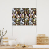 Meerkat Photo Collage Value Wall Poster (Keuken)