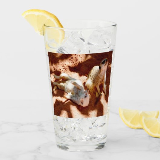 Meerkat Play Day Glas (Voorkant ijs)