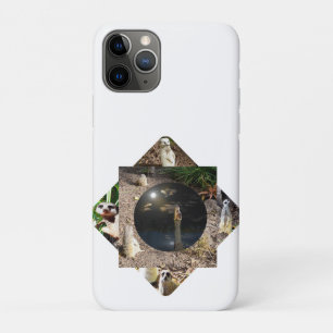Meerkat Polyscope, iPhone 11 Pro Hoesje