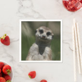 Meerkat-Portrait 004 Servetten (Insitu)