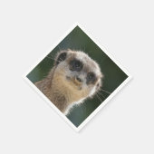 Meerkat-Portrait 006 Servetten (Hoek)