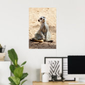 Meerkat Poster (Thuiskantoor)