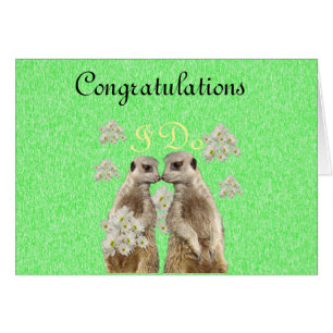 Meerkat prend des vues Mariages, note Mariage cart