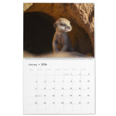 Meerkat Pups du calendrier KMP 2025 (Jan 2026)