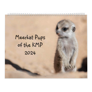 Meerkat Pups van de KMP 2024 Kalender