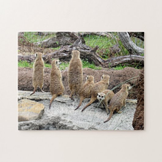 Meerkat Puzzle Legpuzzel (Horizontaal)