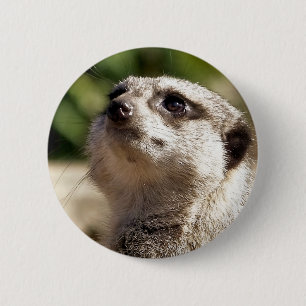 MEERKAT RONDE BUTTON 5,7 CM
