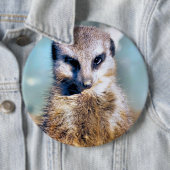 MEERKAT RONDE BUTTON 6,0 CM (In situ)