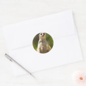 Meerkat Ronde Sticker (Envelop)