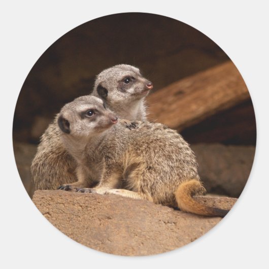Meerkat Round Sticker (Voorkant)