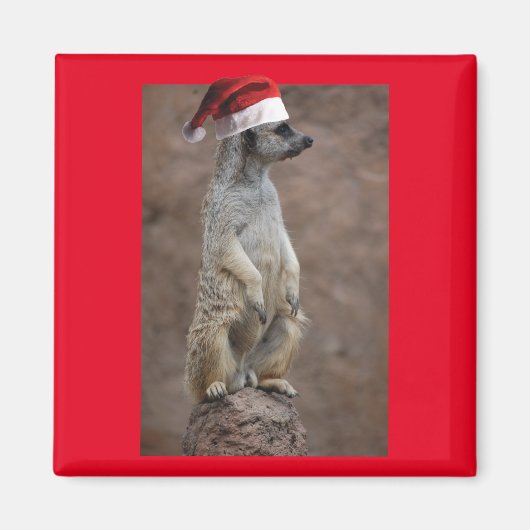 Meerkat-Santa Magneet (Voorkant)