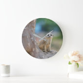 Meerkat Sat on Tree Grote Klok (Huis)