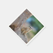 Meerkat Sat on Tree Servet (Hoek)