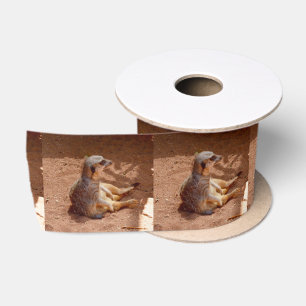 Meerkat Sitting Photography, Satin Ribbon Lint