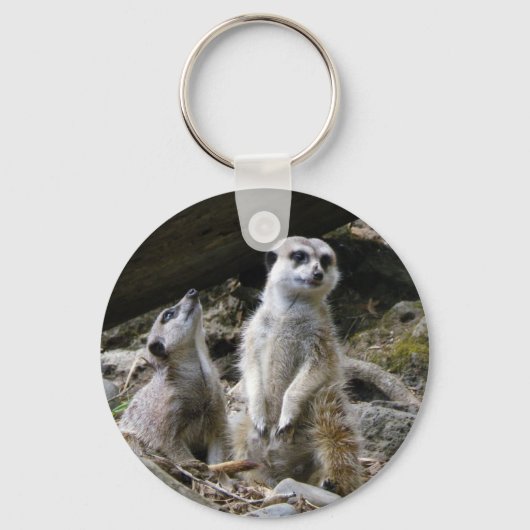 Meerkat Sleutelhanger (Voorkant)